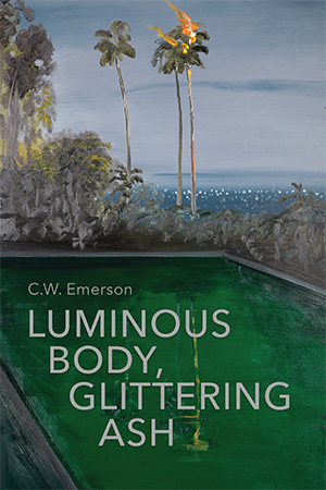 Luminous Body Glittering Ash